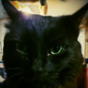 Meet your Posher, Nikki